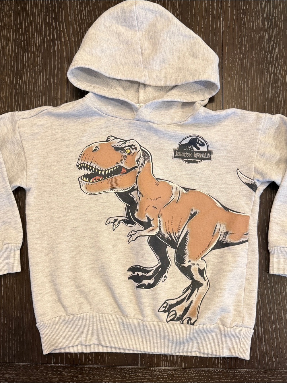 Jurassic World Boys' 5T Light‎ Gray Hoodie with T-Rex Dinosaur Hooded Sweatshirt
